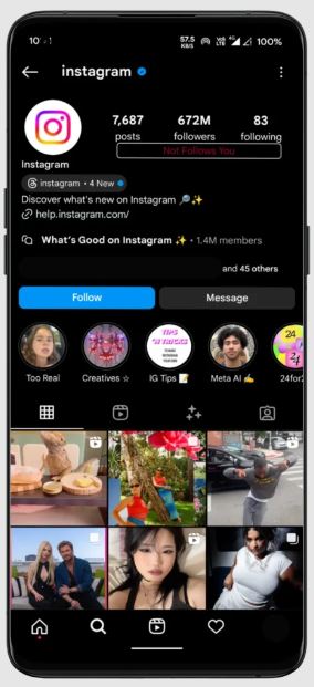 Instagram++ 3